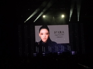KARA ハラ 自殺.JPG